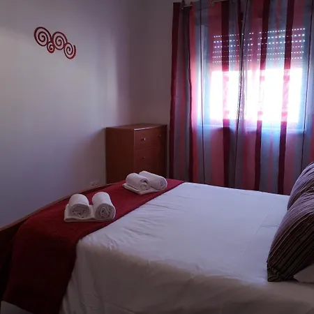 Pro Touristic Surf &